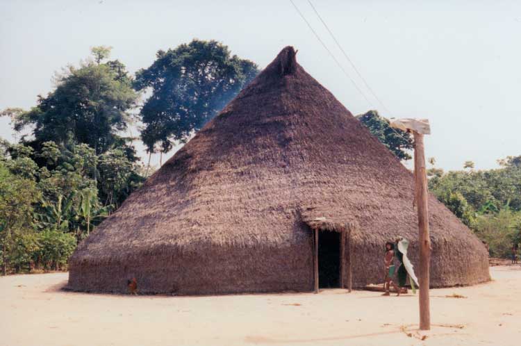 A traditional Marubo longhouse stands in the middle of a clean earth plaza. A young woman is walking towards the door carrying banana leaves. Electrical lines are seen to enter the longhouse and a post sustaining the lines is in the plaza.